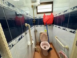 Blk 65 Kallang Bahru (Kallang/Whampoa), HDB 3 Rooms #479801001